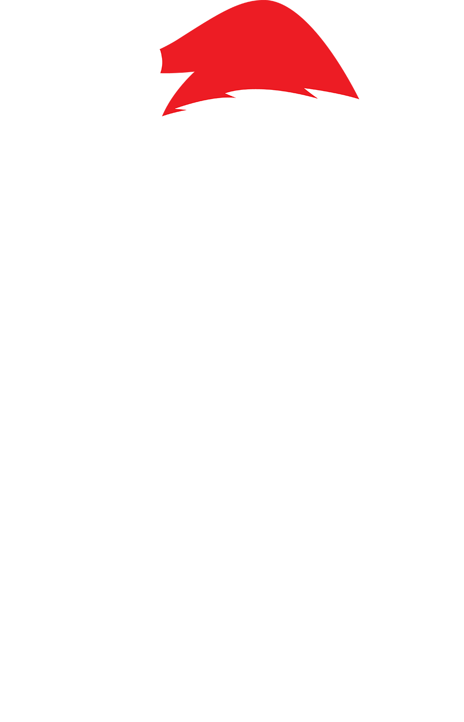 carlton-dry-footer-banner